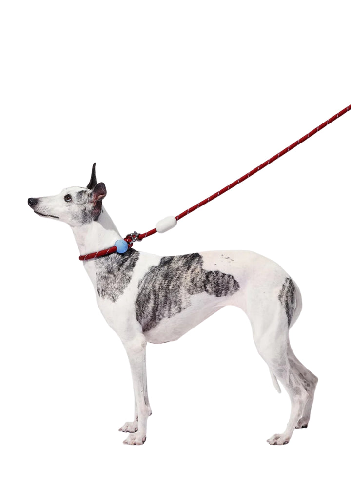 Mist &amp; Merlot Connect Hands-Free Rope Leash