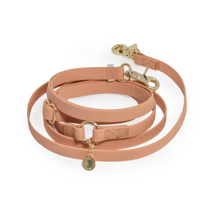 Chai Brown 4-in-1 Convertible Hands Free Cloud Dog Leash