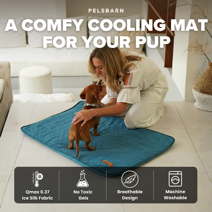 Natural Cooling Mat - Pelsbarn helps shelter dogs!