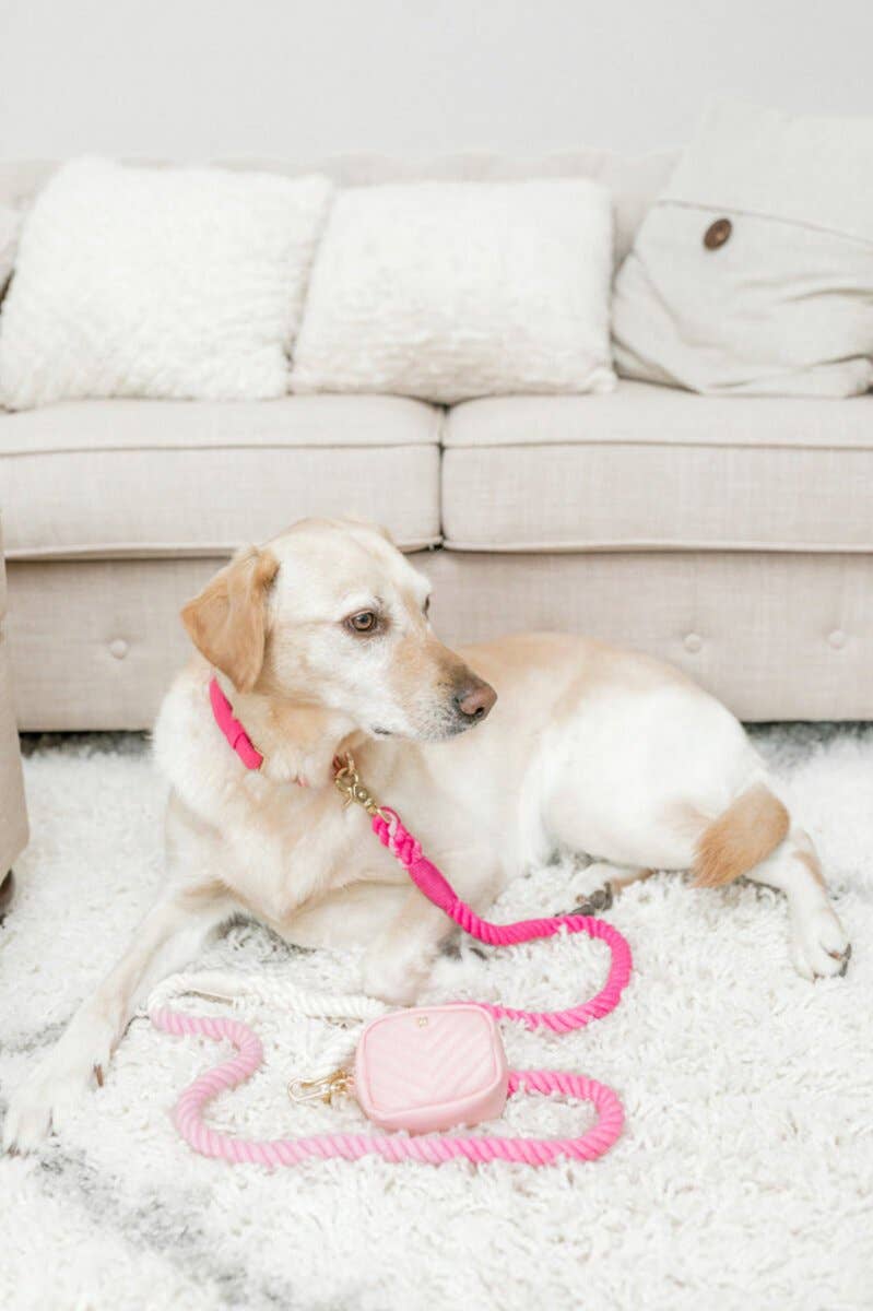 Maggie Pink Ombre Rope Dog Leash