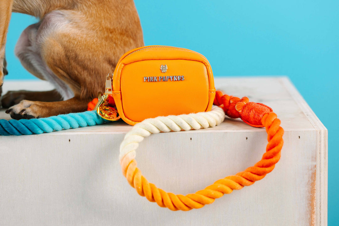 Keanu Orange Vegan Leather Poop Bag Dispenser &amp; Treat Pouch