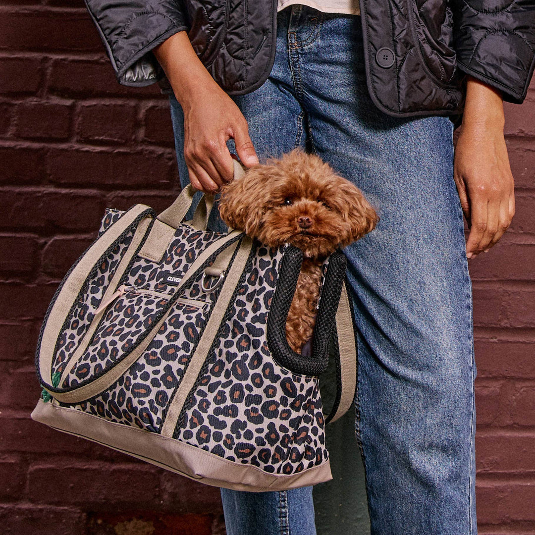 Transit Tote Dog Carrier