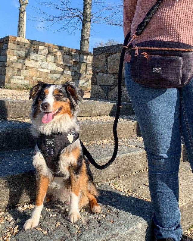 Hands Free Rope Leash Noir