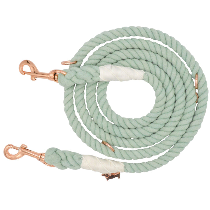 Hands Free Rope Leash Mint to Be