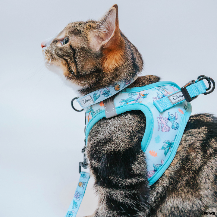 Cat Collar - Disney&
