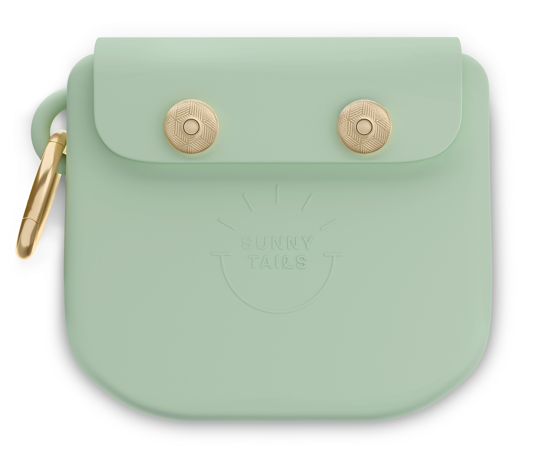 Pistachio Green Snap Dog Treat Pouch