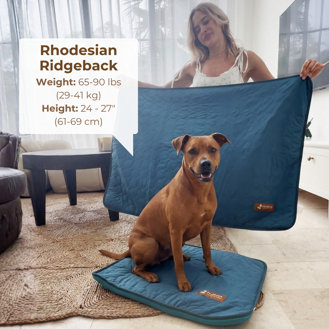 Natural Cooling Mat - Pelsbarn helps shelter dogs!