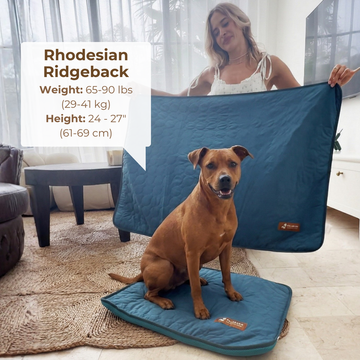 Natural Cooling Mat - Pelsbarn helps shelter dogs!