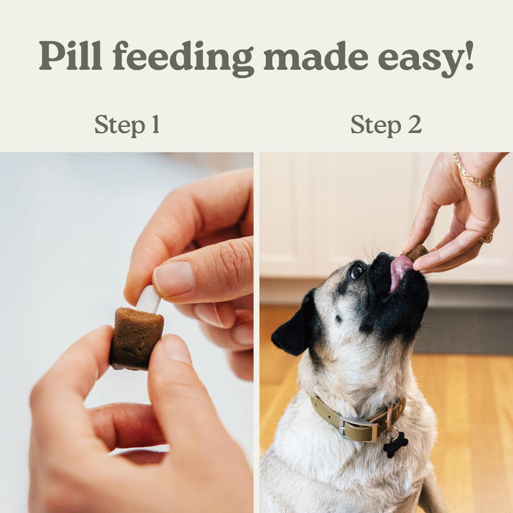Pill Buddy Naturals Peanut Butter &amp; Apple 30ct