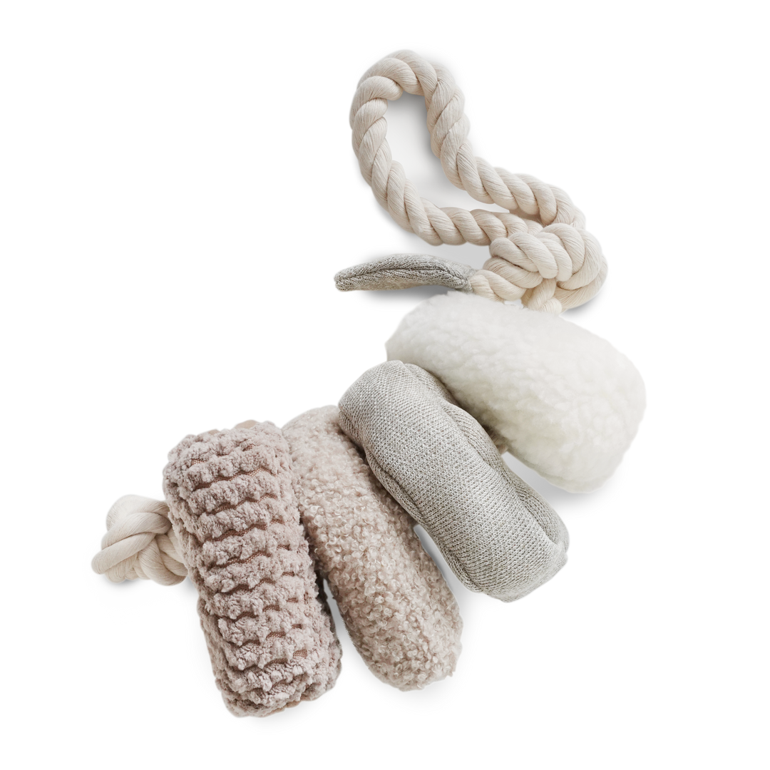 BLOCS Enrichment Dog Toy