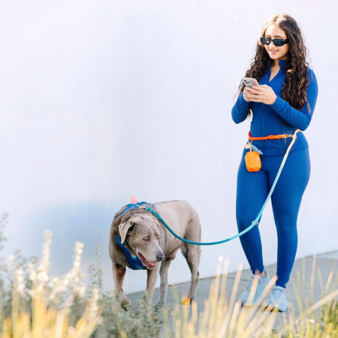 Beau Rainbow Hands-Free Leash