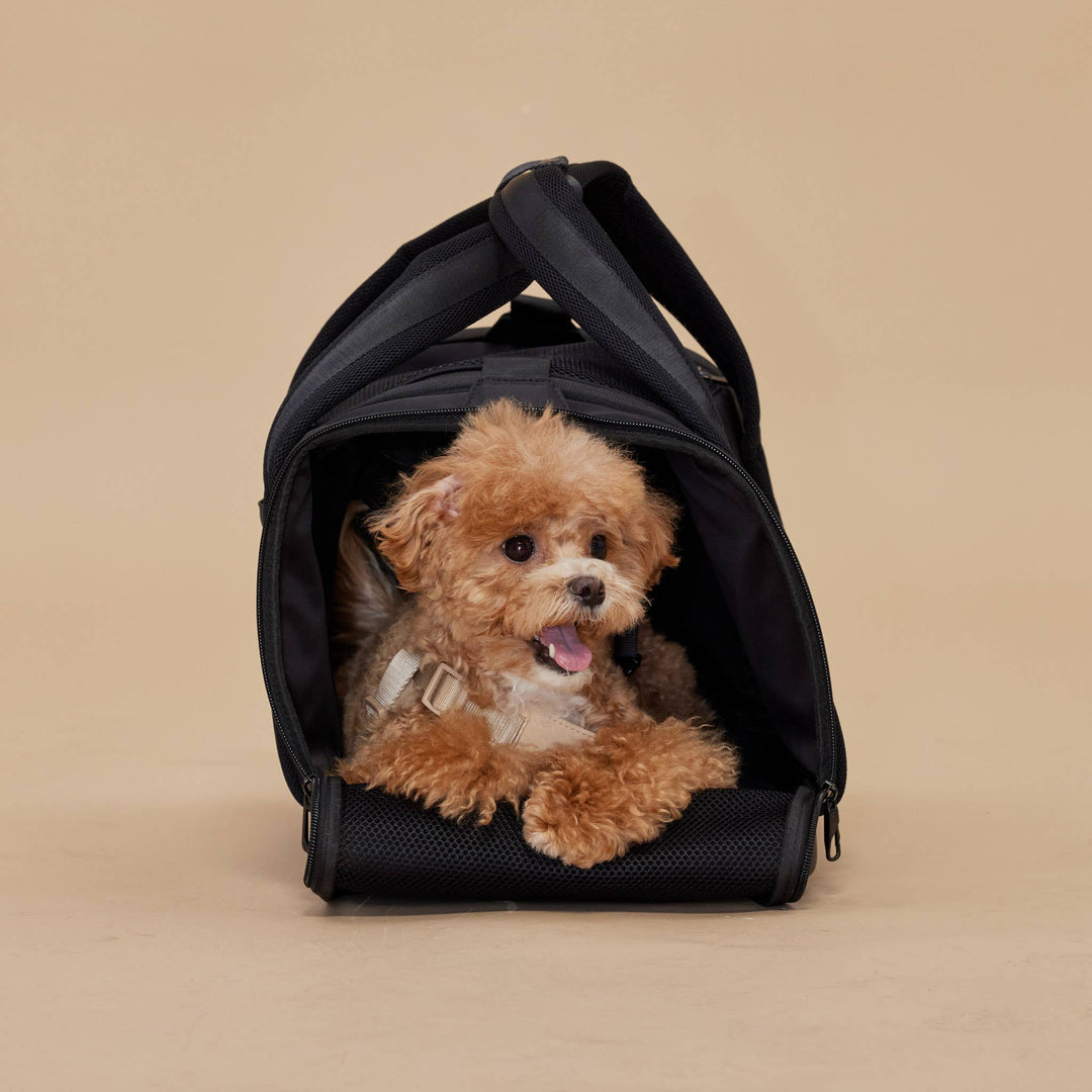 Onboard Travel Pet Carrier (Airline Compliant)