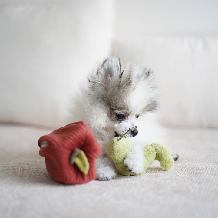 Apple Enrichment Toy Set - Snuffle Toy