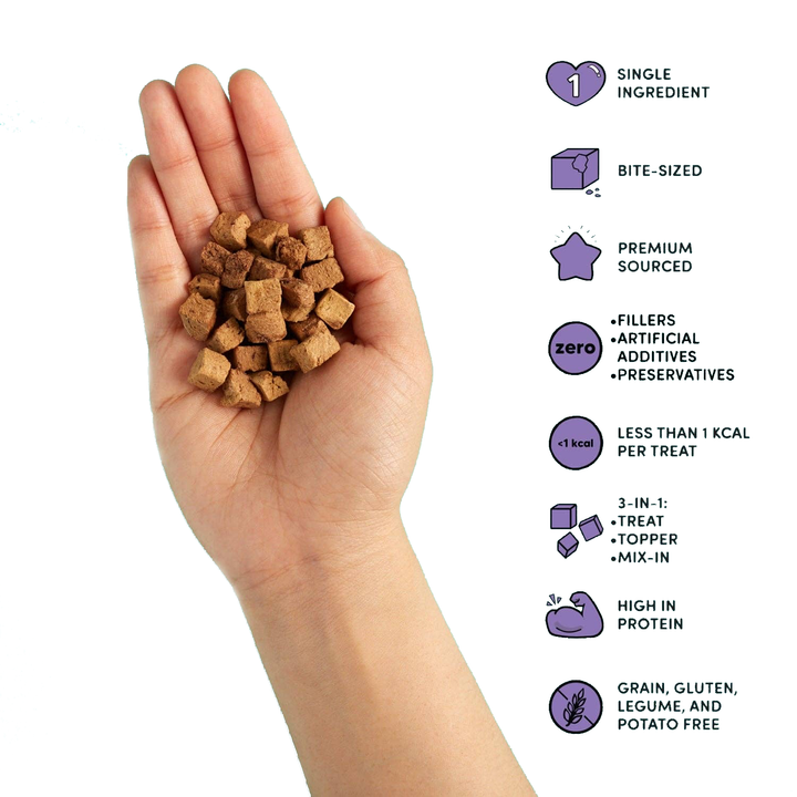 Chicken Liver - Freeze Dried Raw Teeny Tiny Treats
