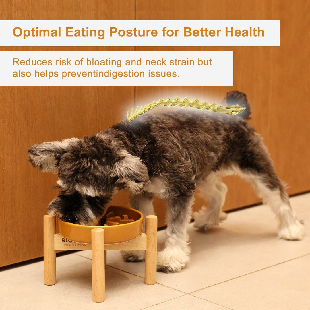 Wave Slow Feeder Dog Bowls