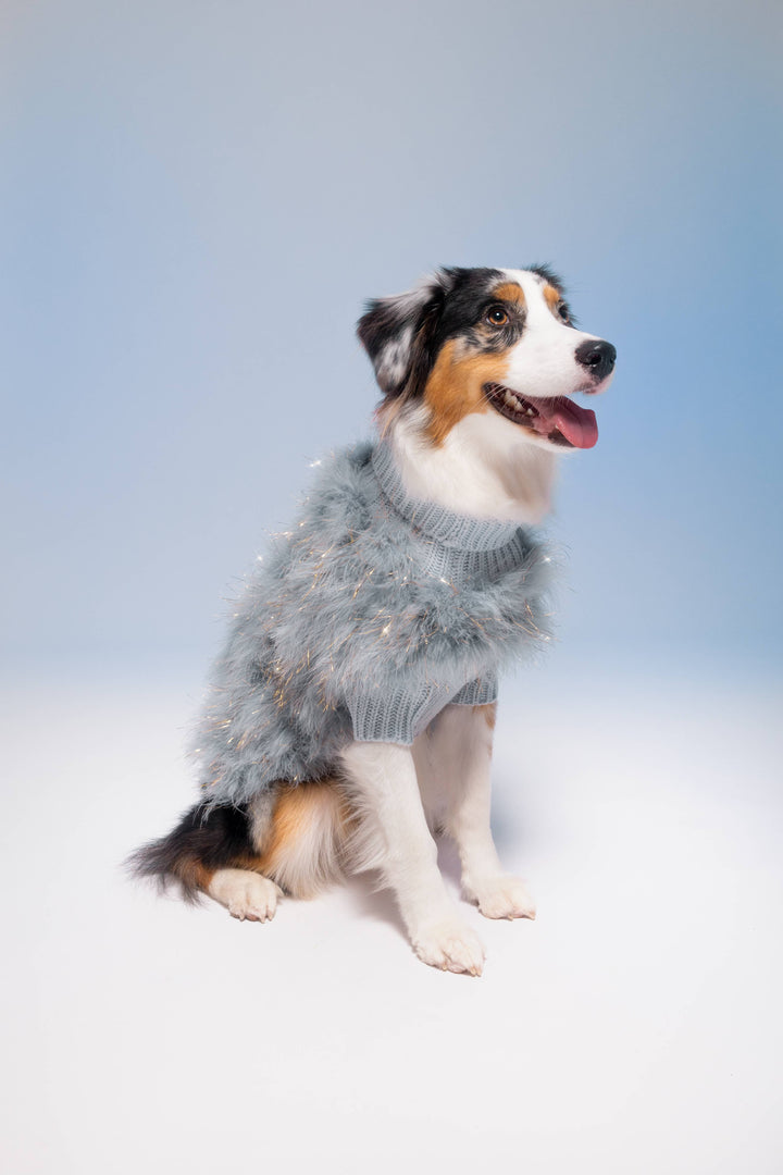 Christian Cowan Holiday Glitz Dog Jumper