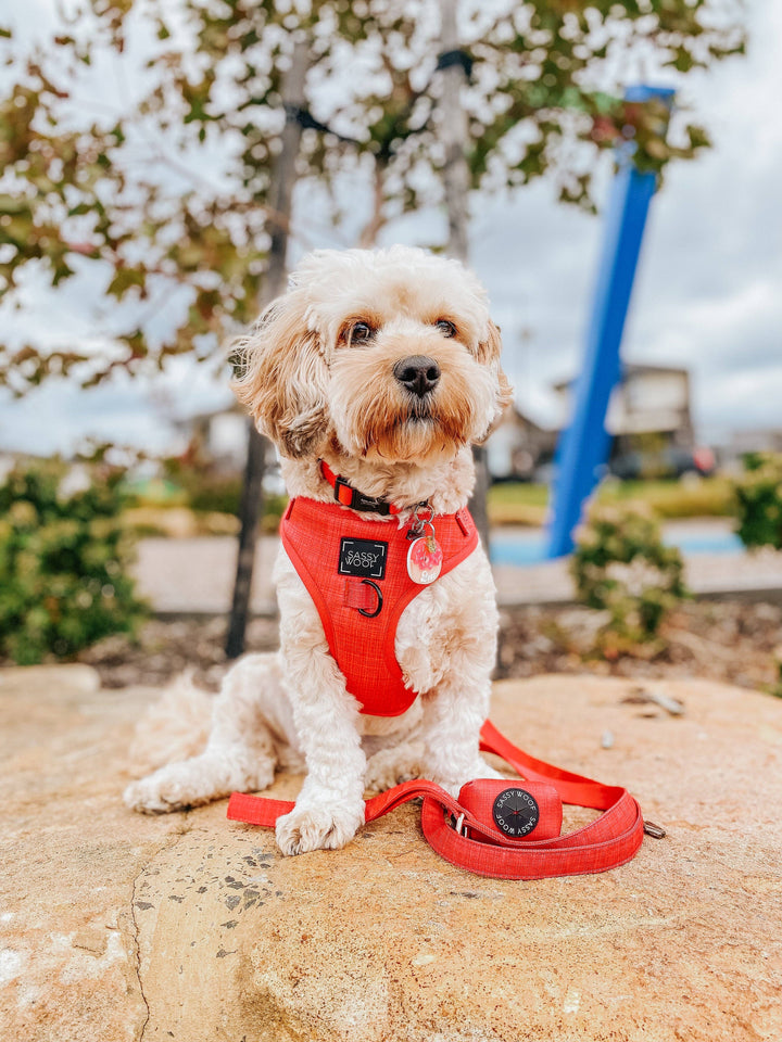 Dog Waste Bag Holder Merlot