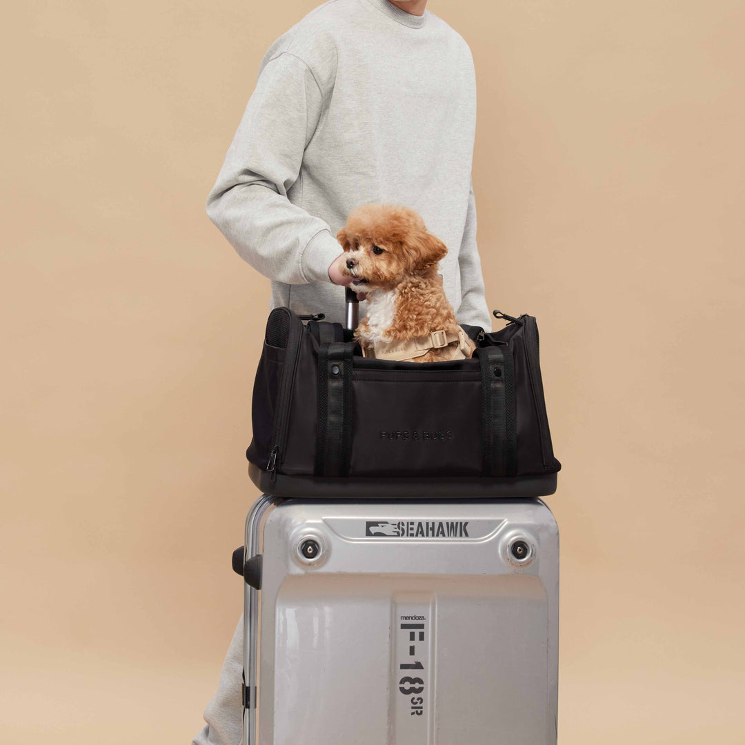 Onboard Travel Pet Carrier (Airline Compliant)