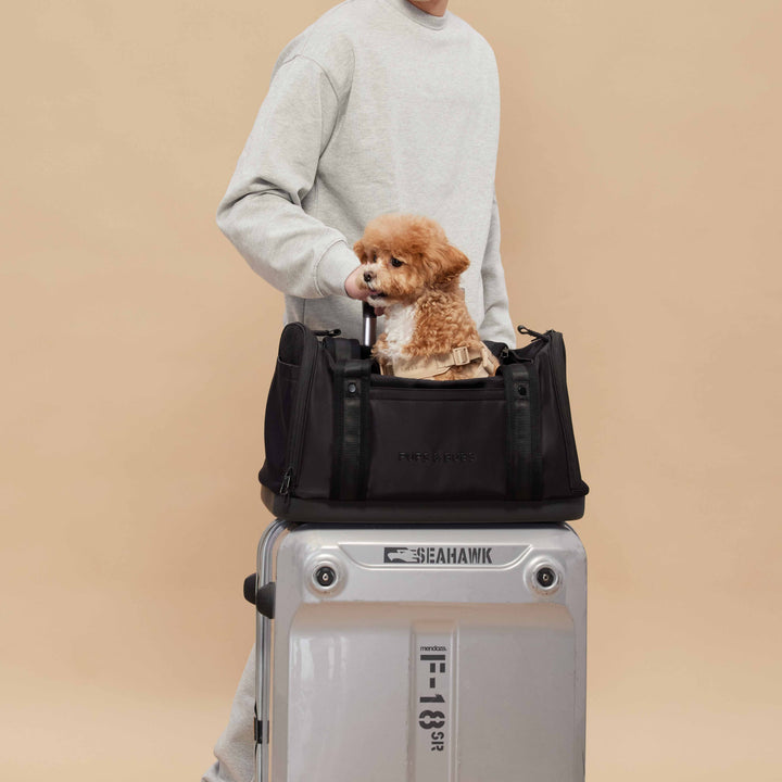 Onboard Travel Pet Carrier (Airline Compliant)