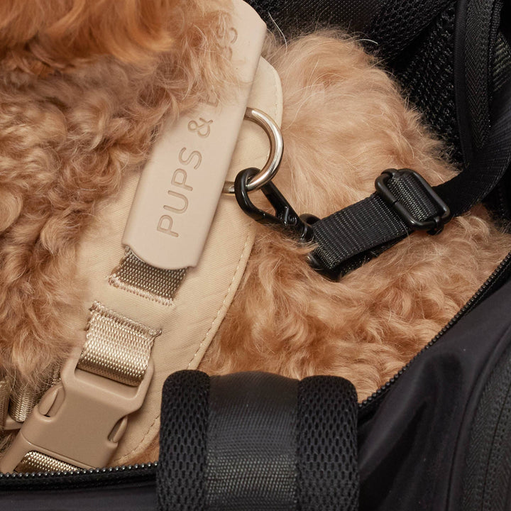 Onboard Travel Pet Carrier (Airline Compliant)