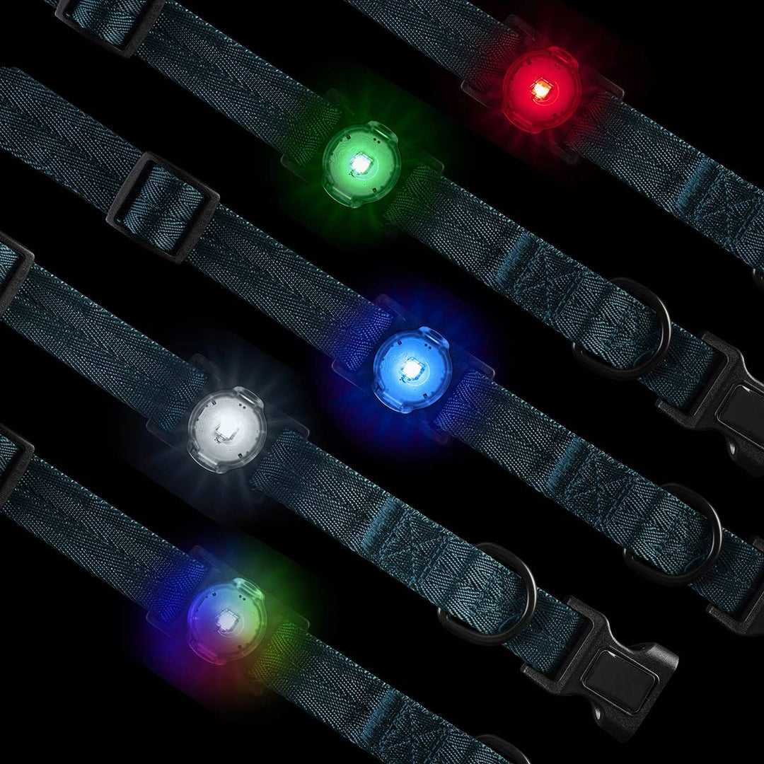 NiteDog™ Rechargeable Pet Light - Disc-O Tech™