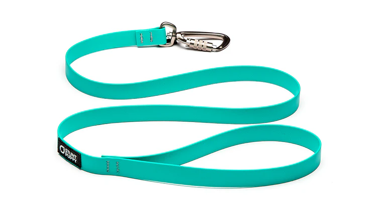 Dry Leash Teal