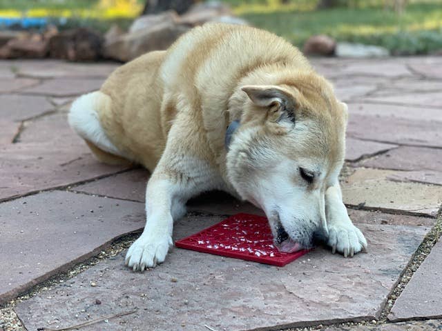 Heart Design Valentine Enrichment Lick Mat