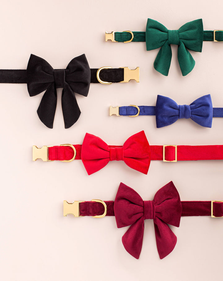Cranberry Velvet Day Dog Bow Tie