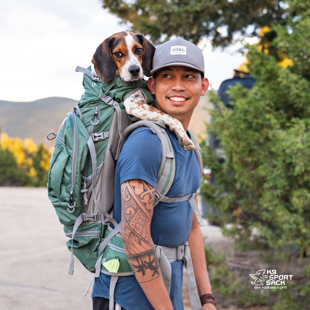 Kolossus: Big Dog Carrier &amp; Backpacking Pack