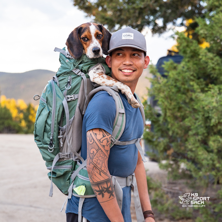 Kolossus: Big Dog Carrier &amp; Backpacking Pack