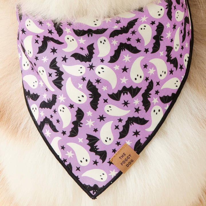 Spooky Season Reversible Dog Bandana