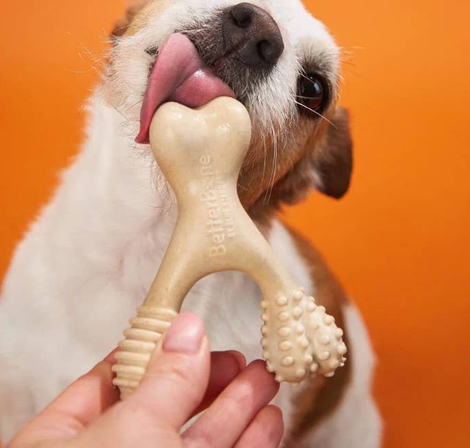 Hard Beef Dog Chew Toy Large