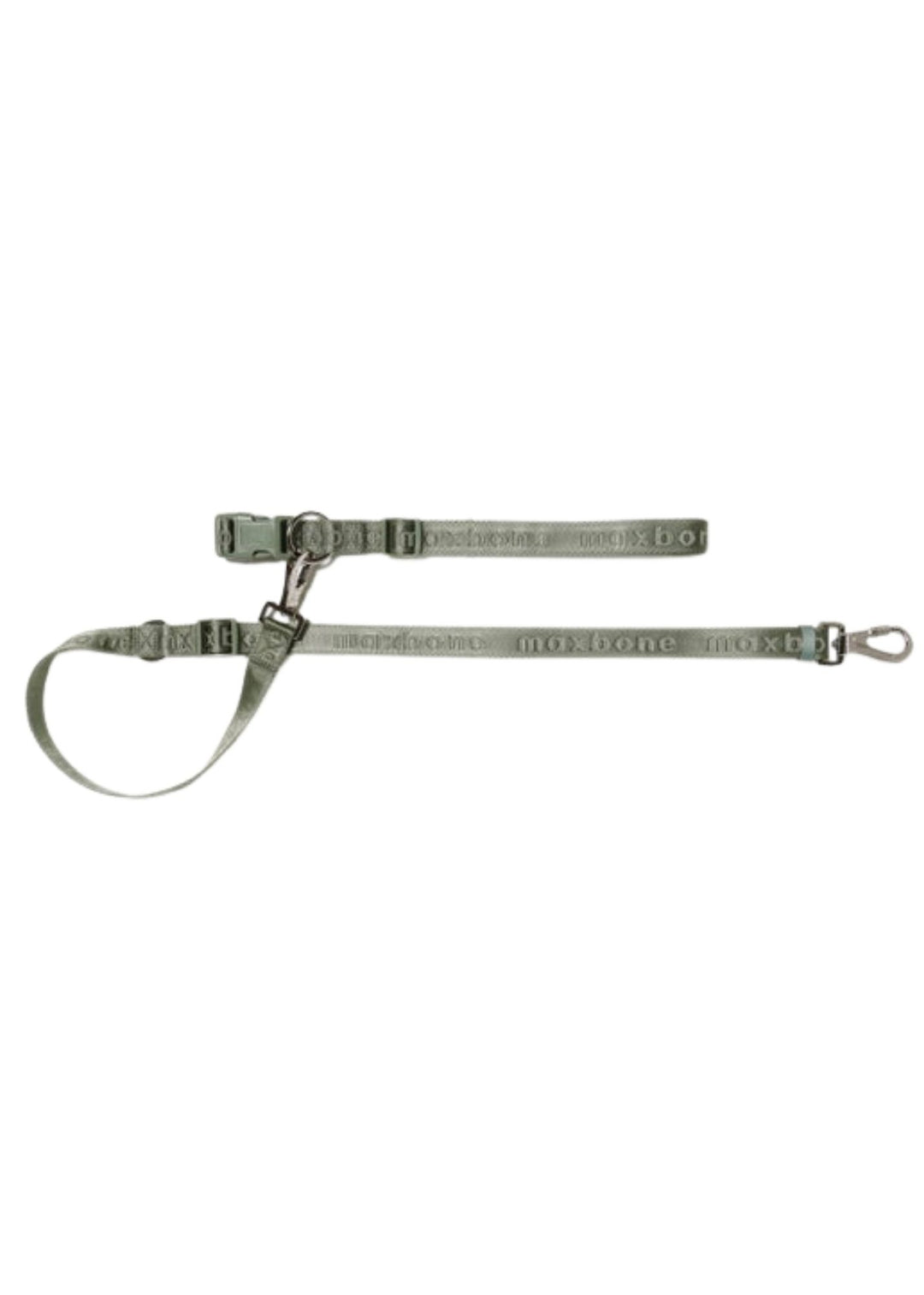 Hands-Free Leash for Dogs