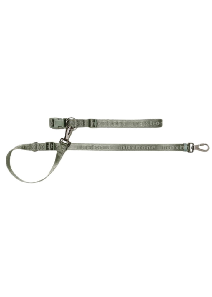 Hands-Free Leash for Dogs
