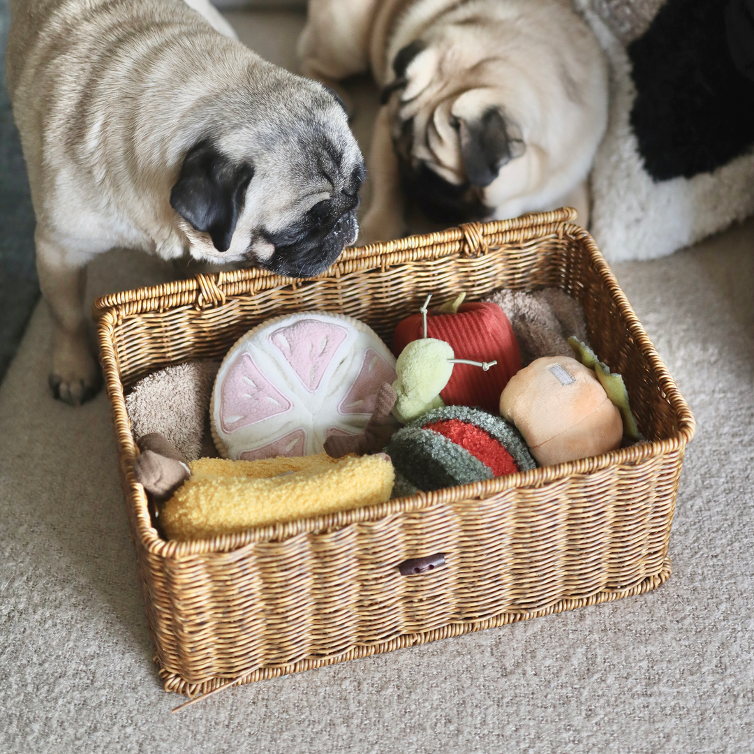 Grapefruit Enrichment Toy Set - Snuffle Toy