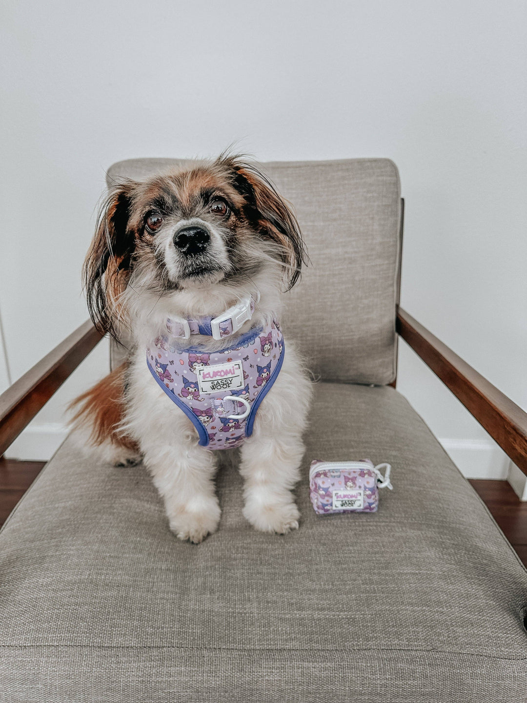 Dog Waste Bag Holder Kuromi™