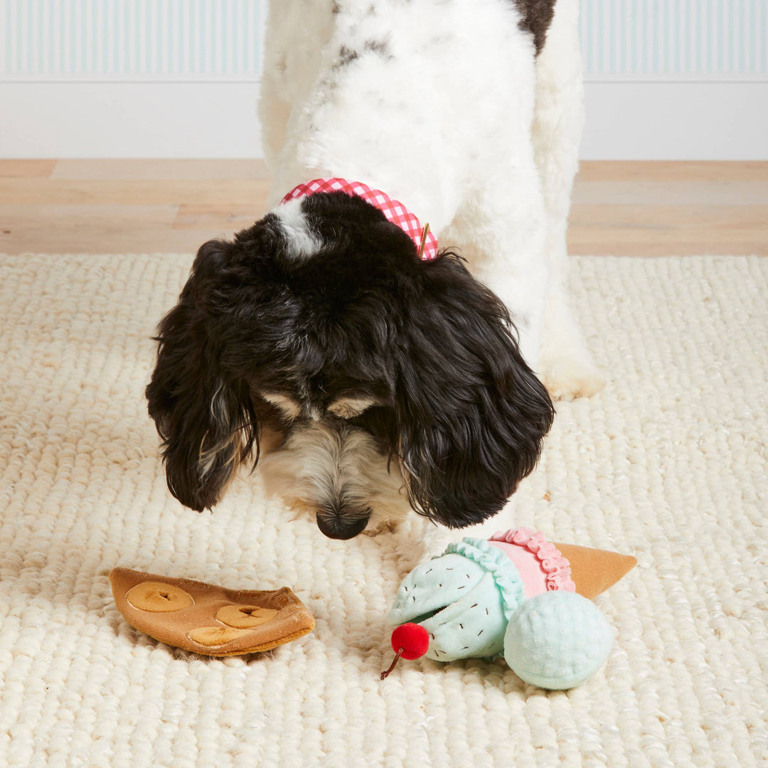 Ice Cream Interactive 2-in-1 Bounce Dog Toy