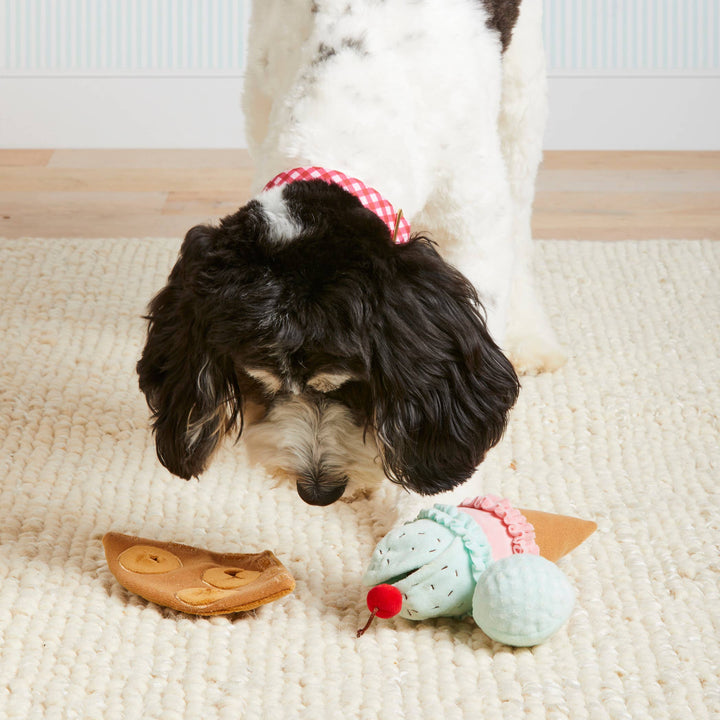 Ice Cream Interactive 2-in-1 Bounce Dog Toy