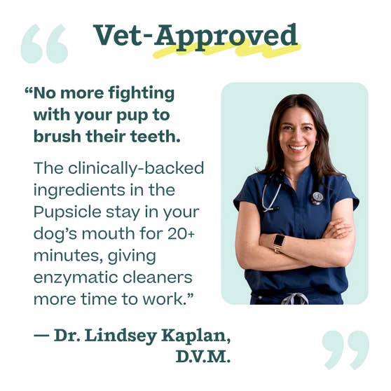 Doggy Dental Pupsicle Mix