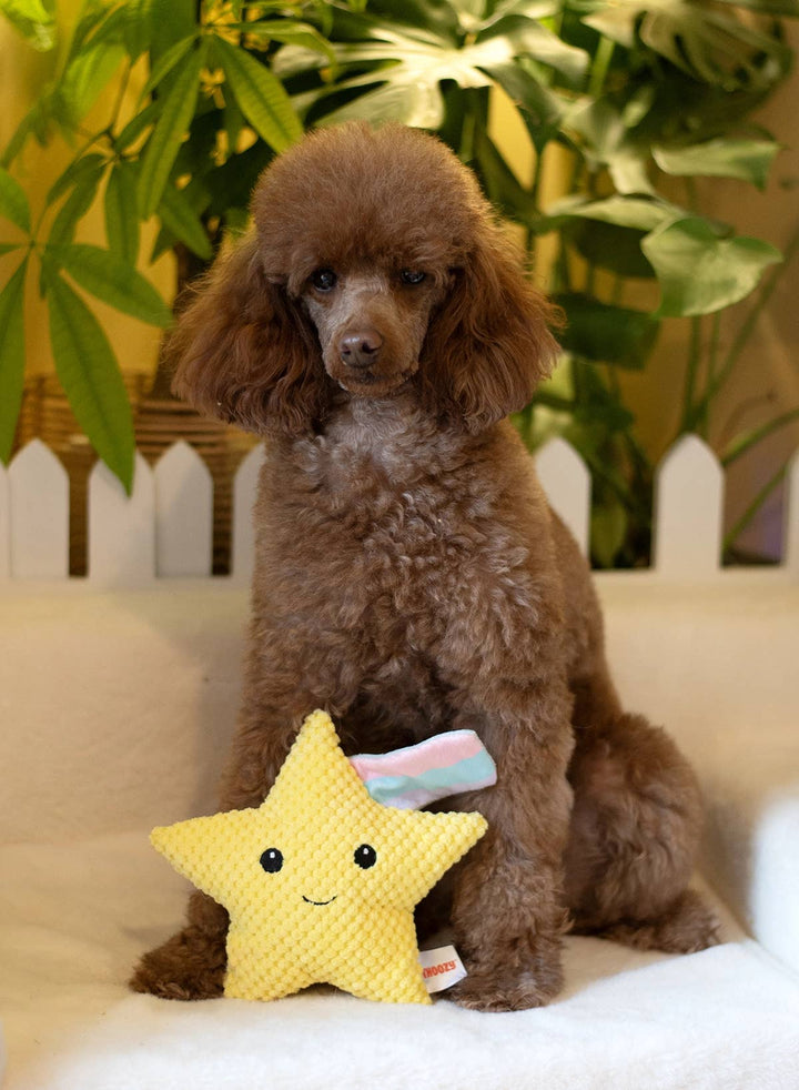 Shooting Star Plush Dog Toy 8"
