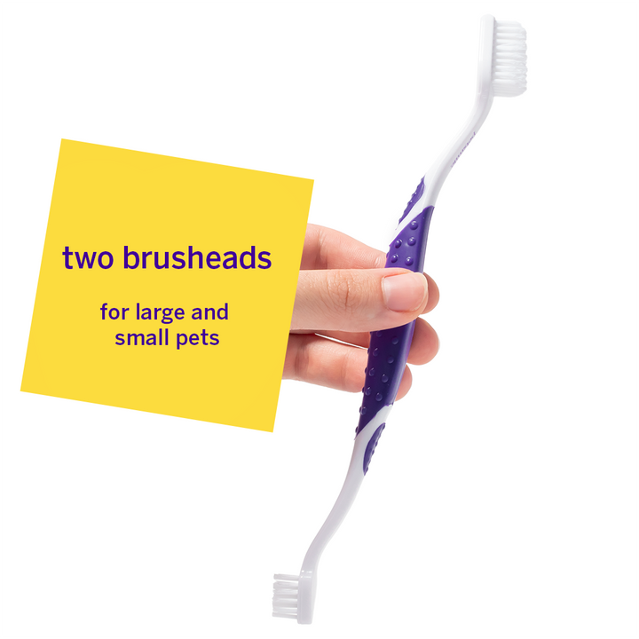 Pet Toothbrush