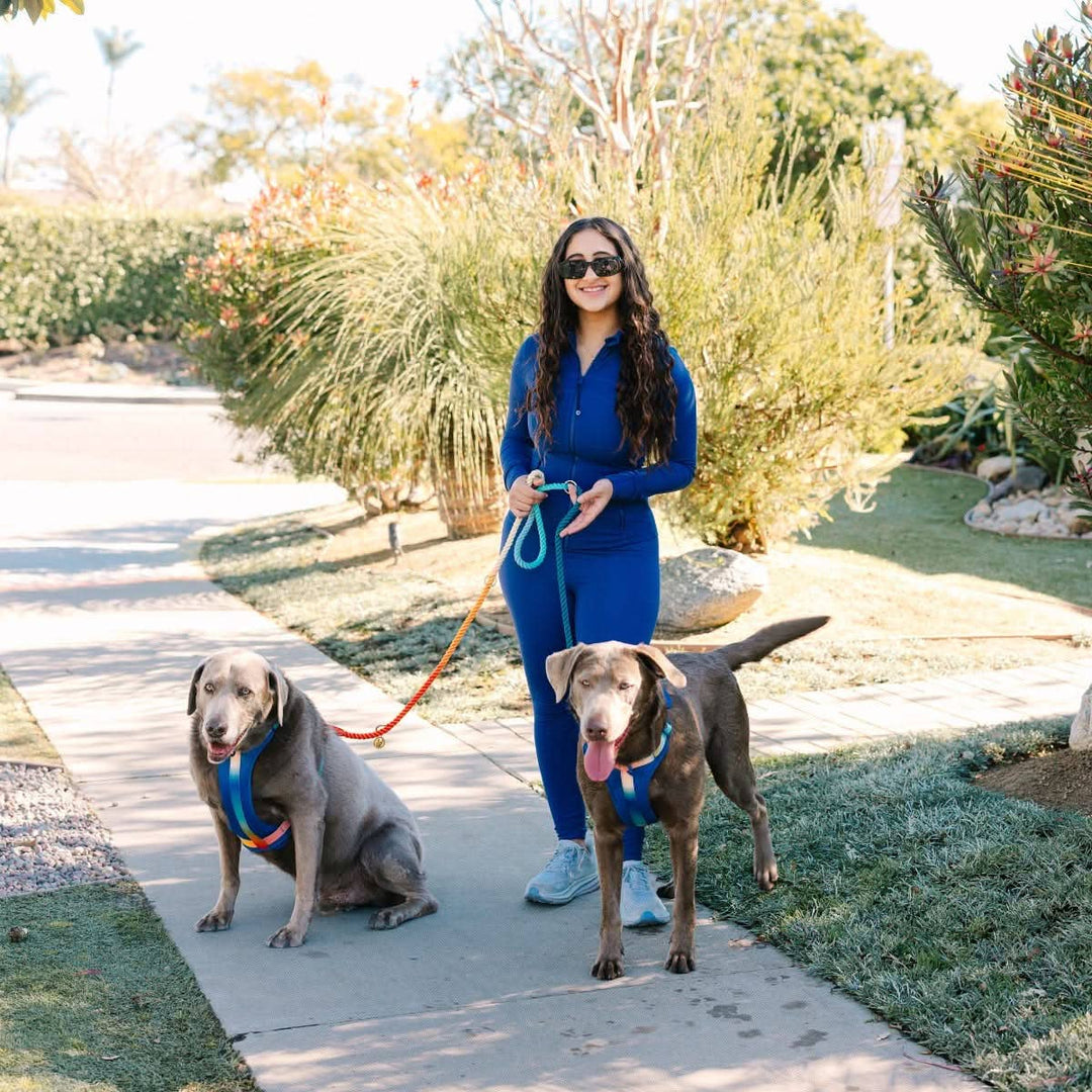 Beau Rainbow Hands-Free Leash