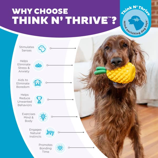 Dental Pineapple Dog Chew Toy