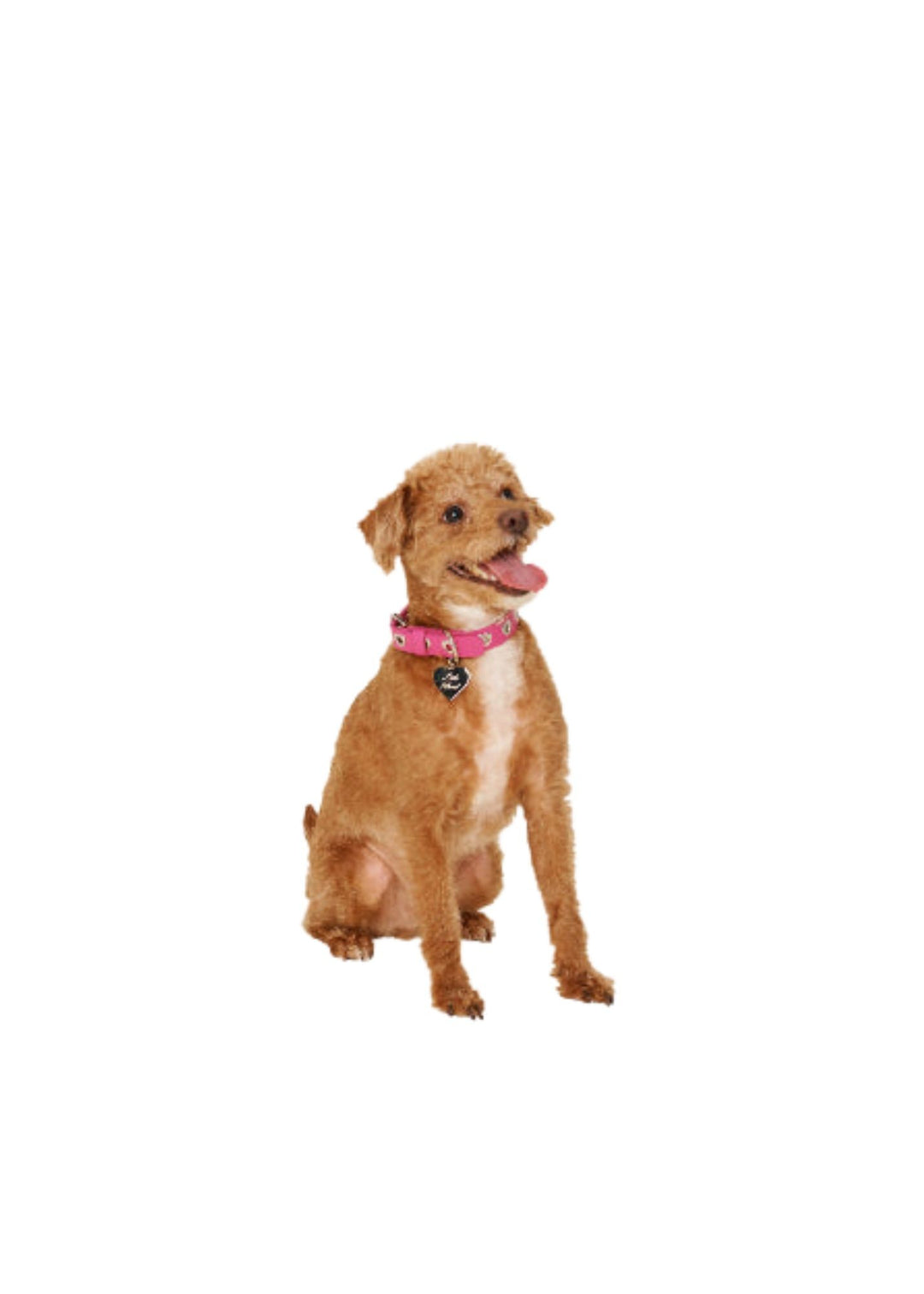 Pink Peony Heart Collar