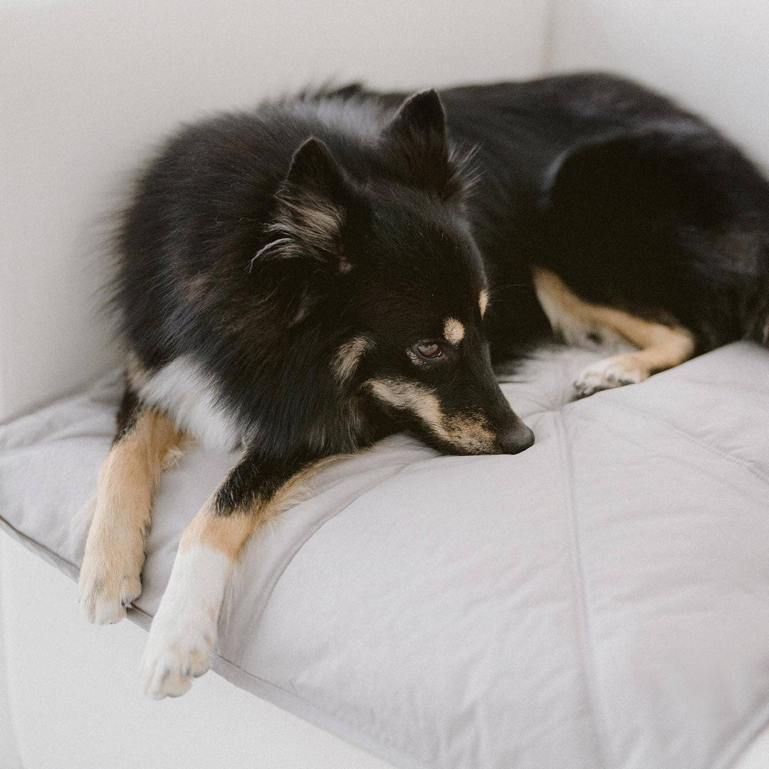 ORII | ultralight pet travel mat DOG MAT