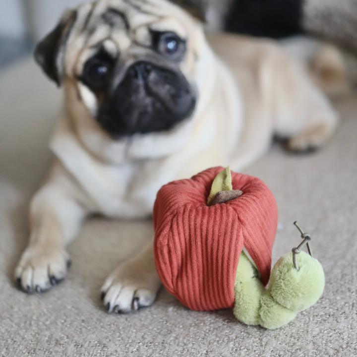 Apple Enrichment Toy Set - Snuffle Toy