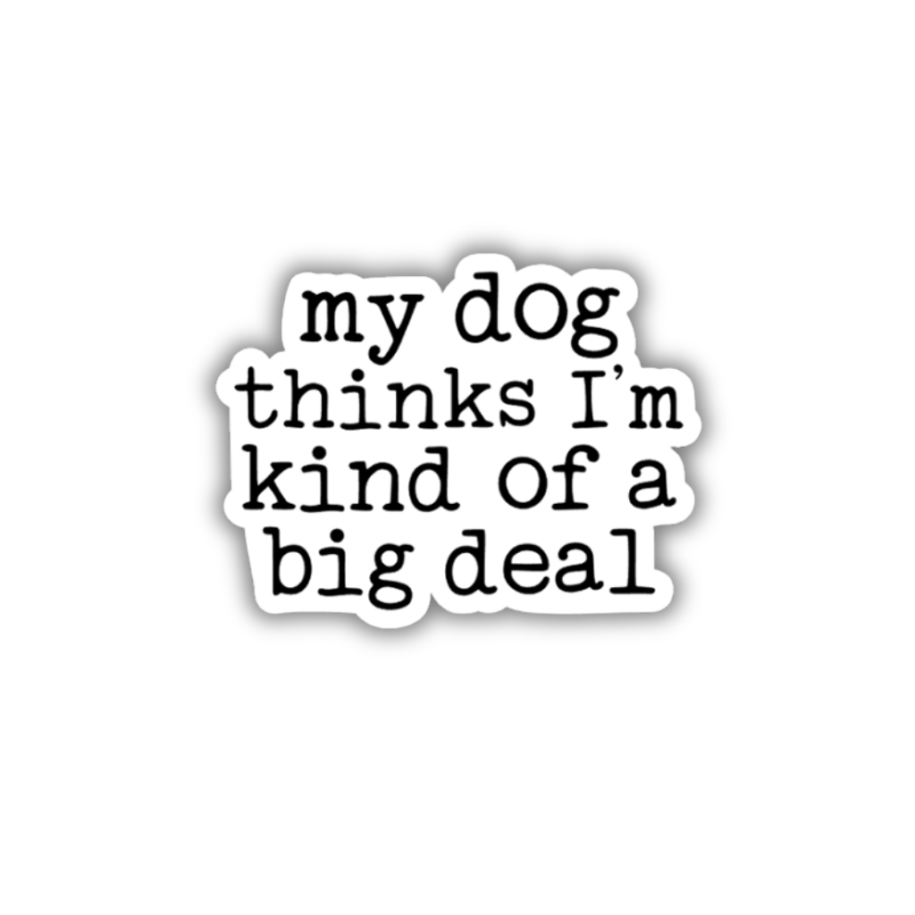 My Dog Thinks I&