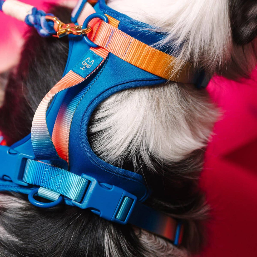 Atlas Blue No Pull Harness