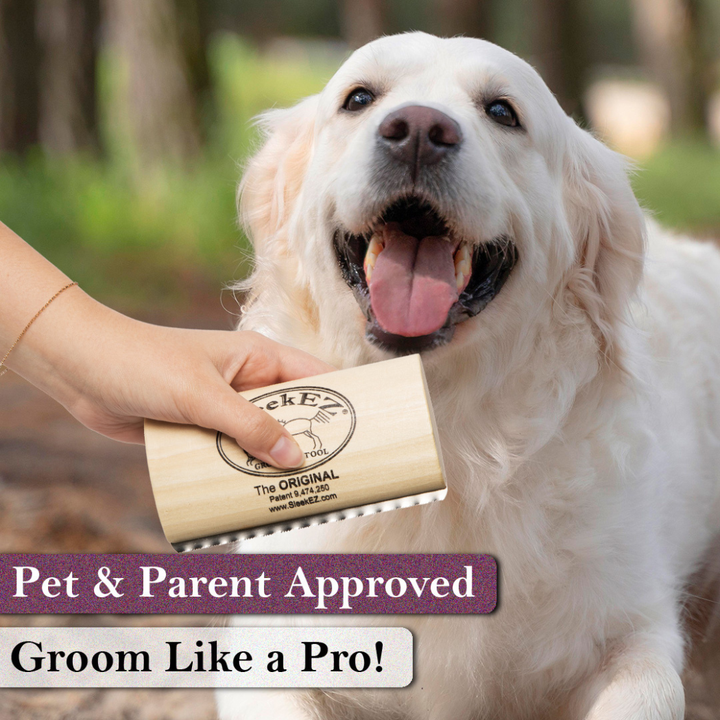Medium Brush for Shedding and Grooming (5 inch)
