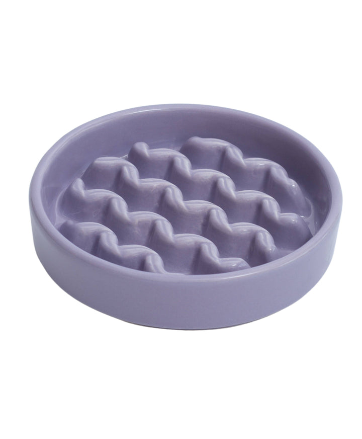 Macaroni Slow Feeder Dog Bowls